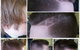 Hairboudoir - thumb 4