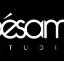 Snip amp Style Hairstylers - Melbourne Hairdresser
