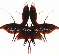Style amp Beauty Within - Melbourne Hairdresser