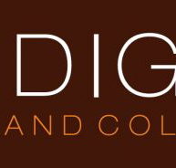Indigo Cut and Colour - Melbourne Hairdresser