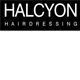 Halcyon - Melbourne Hairdresser 0