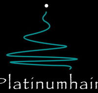 Platinumhair amp Makeup - Melbourne Hairdresser