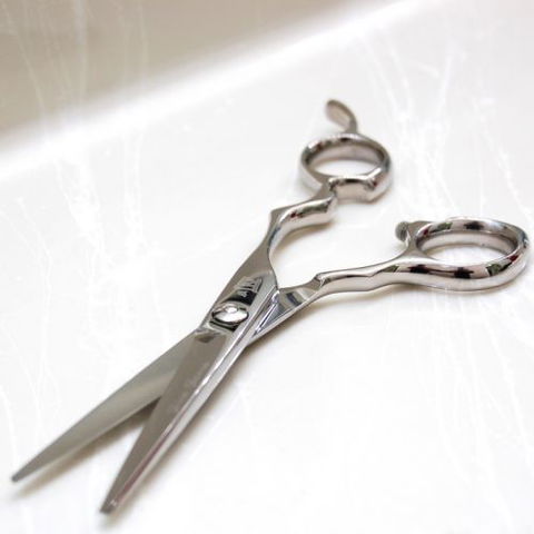 Shiro Shears - Melbourne Hairdresser 0
