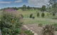 Hairy Situation Moruya - thumb 4