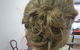 Gecko Hair - thumb 4