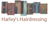 Harley's Men's Haircuts - Melbourne Hairdresser