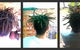 Obsessive Compulsive Dreadlocks - thumb 6